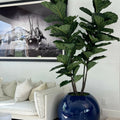 30″ Blue Globe Vase with Fiddle Leaf Fig
