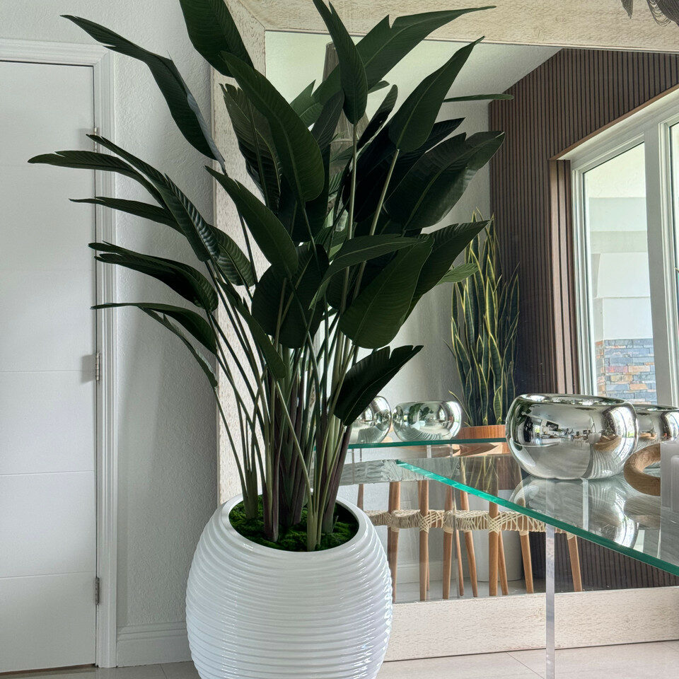 Bird of Paradise Plant in White Spiral Vase