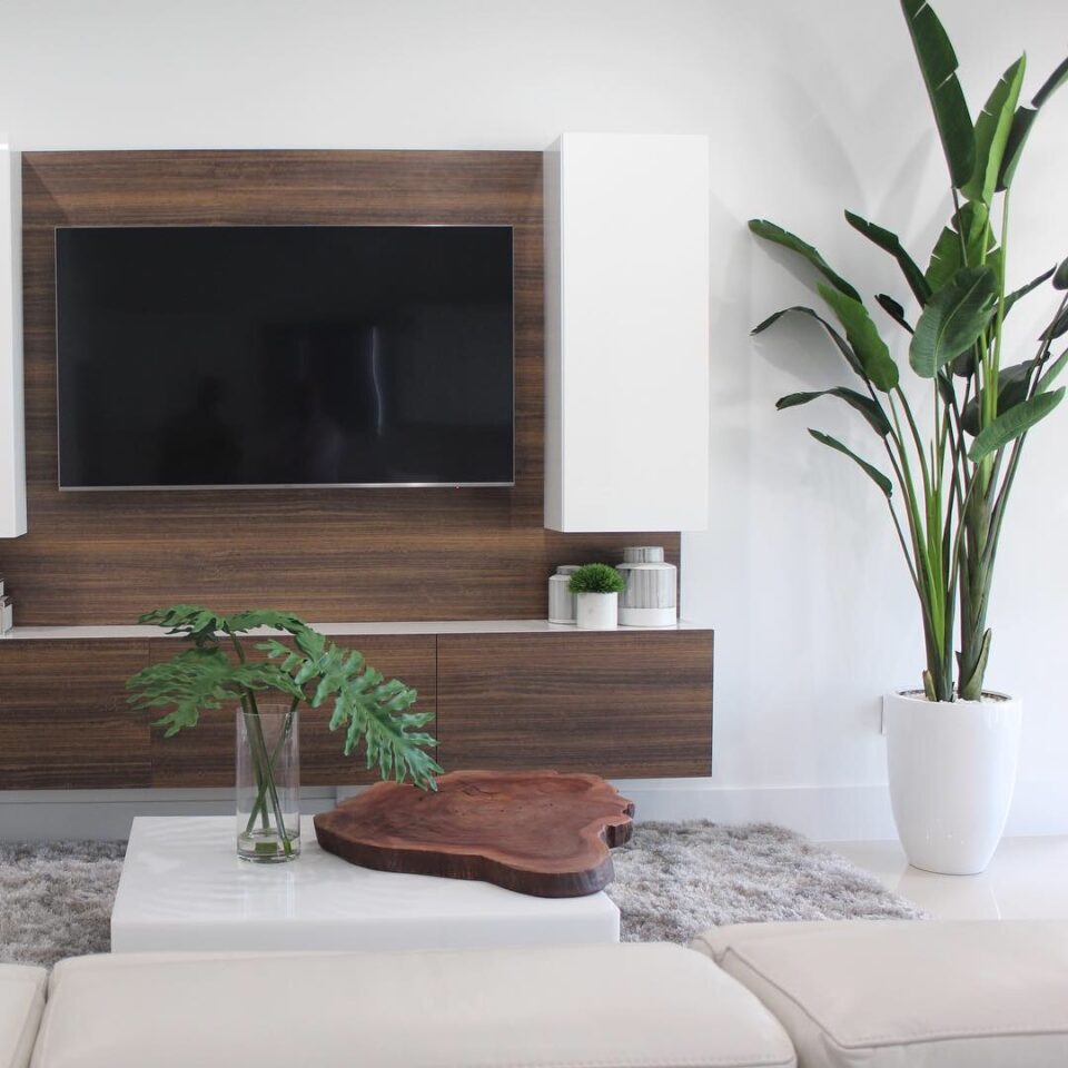 Bird of Paradise Plant (2.7 m) with Ben Planter in Glossy White