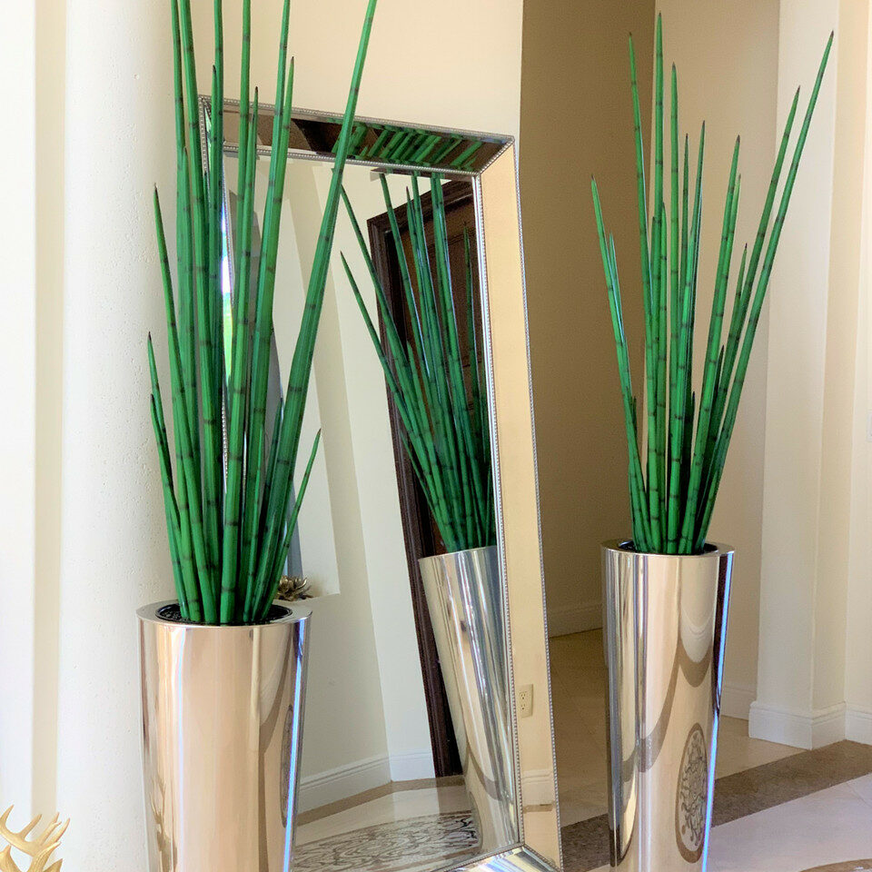 Large Polished Stainless Steel Cone Vase with Large Snake Grass Plant