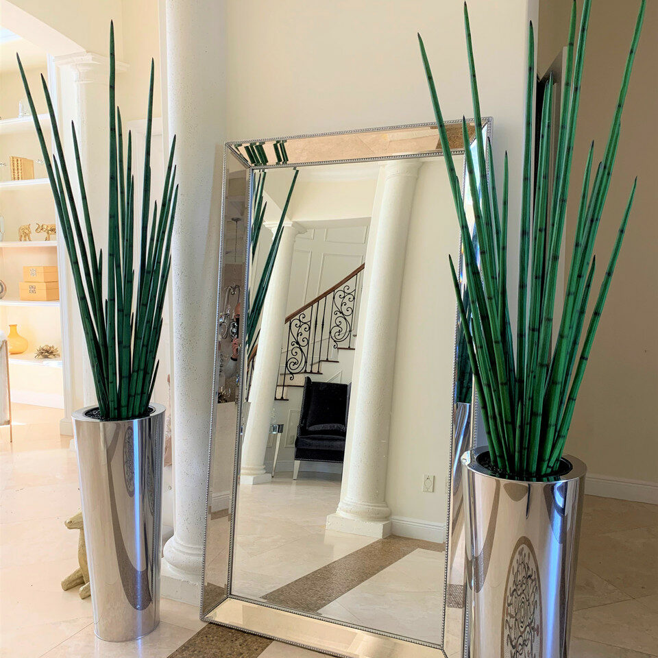 Large Polished Stainless Steel Cone Vase with Large Snake Grass Plant