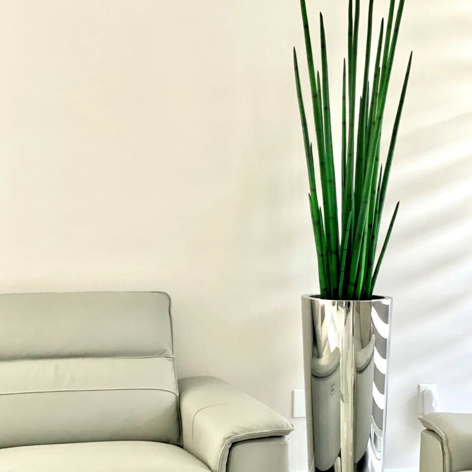 Large Polished Stainless Steel Cone Vase with Large Snake Grass Plant