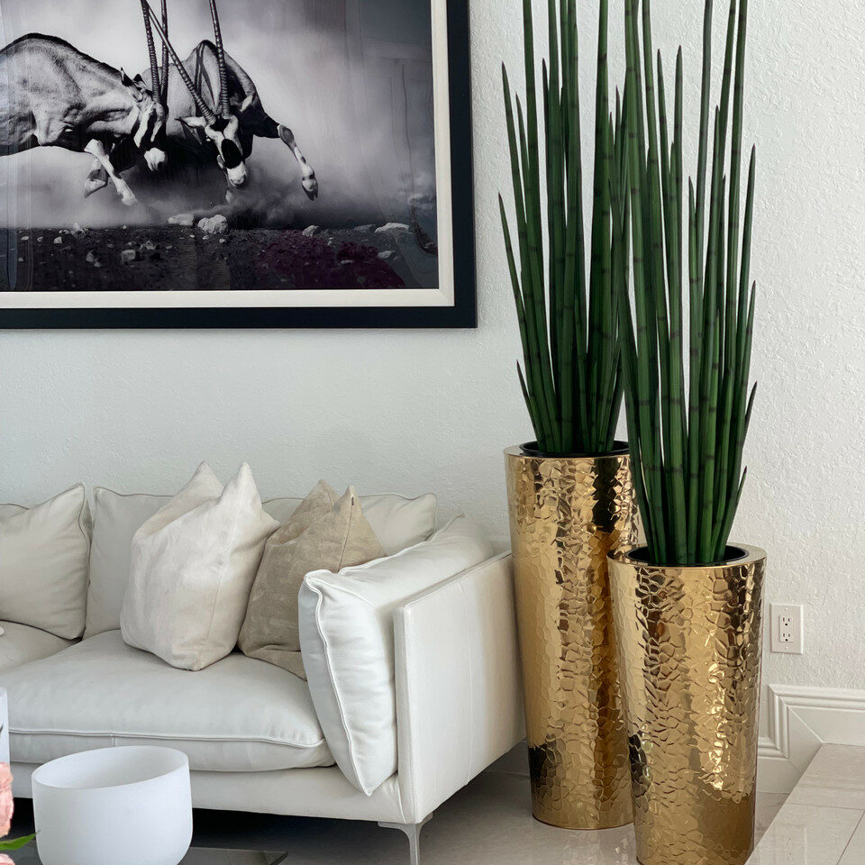 Gold Stainless Steel Cone Vase with Large Snake Grass Plant