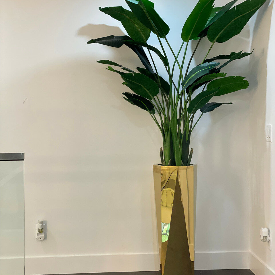 Golden Prism Planter with Bird of Paradise Plant (2.1 m)